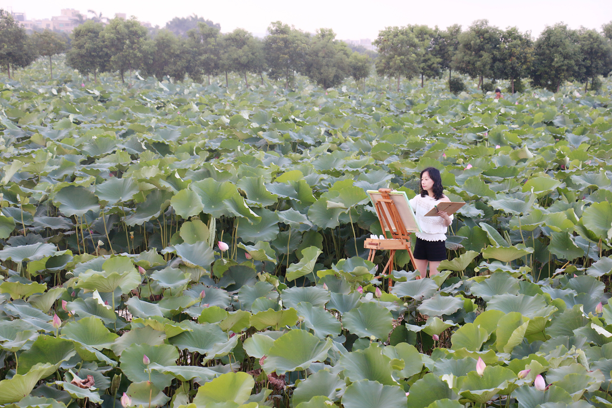 2018年7月19日，汕头电视台《潮汕风》栏目制作的长纪录片《惊奇“莲莲”萧芬琪》进行外景拍摄。